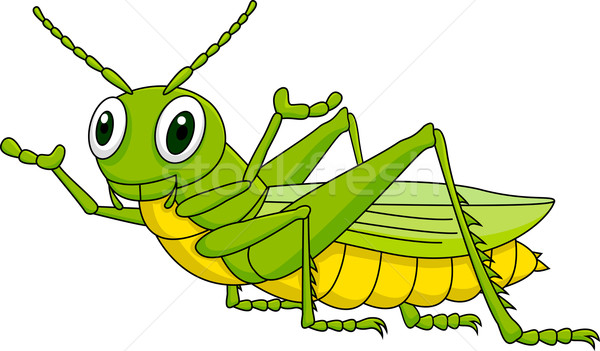 Grasshopper Cartoon Stock photo © tigatelu