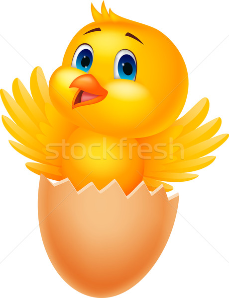 Kırık yumurta sevimli kuş içinde tavuk Stok fotoğraf © tigatelu