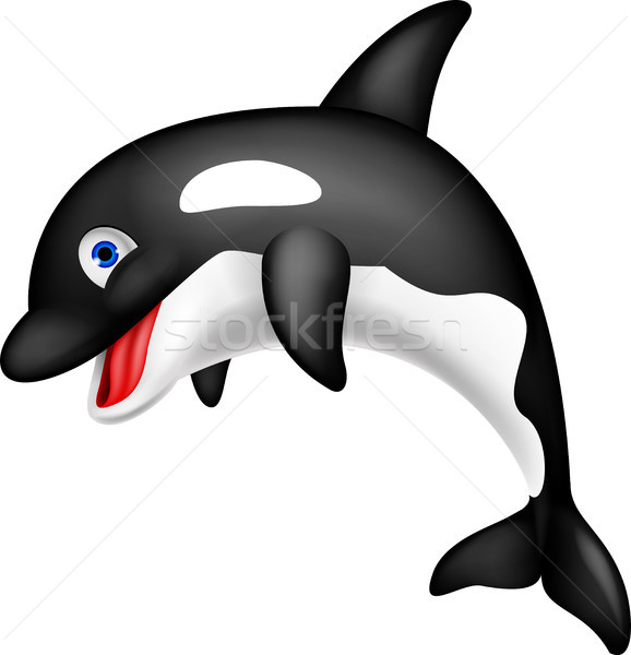 Orca cartoon Stock photo © tigatelu