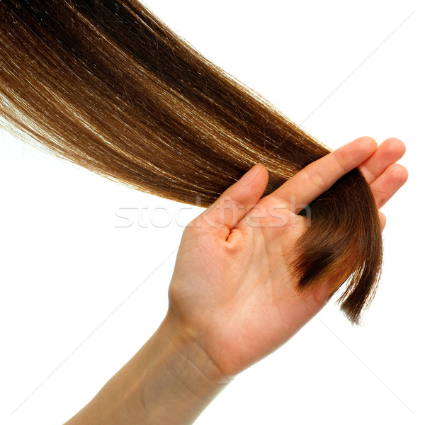 Minta haj zár barna haj kéz izolált Stock fotó © timbrk