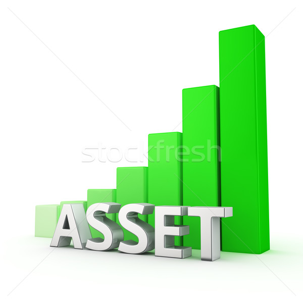Growth of Asset Stock photo © timbrk