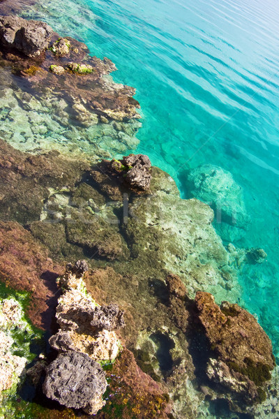 Rocks under a transparent sea water Stock photo © timbrk