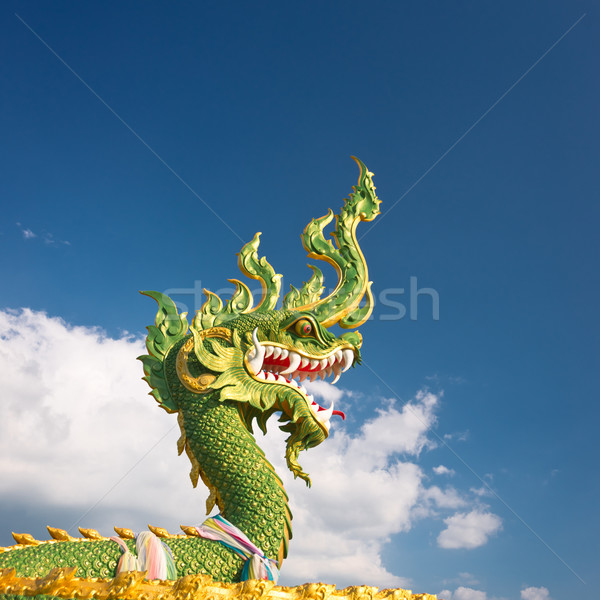 Asia dragón cabeza nublado cielo diseno Foto stock © timbrk