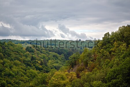 Clouds over forest Stock photo © timbrk