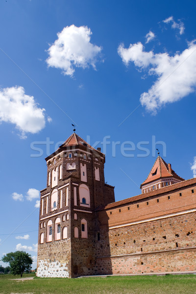 Kastély torony helyes Fehéroroszország építkezés kék Stock fotó © timbrk