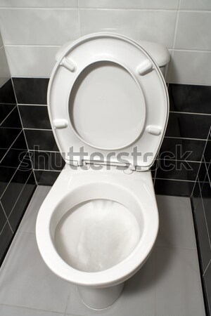 Toilet bowl Stock photo © timbrk
