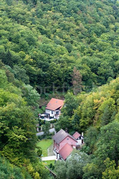 Village forêt vue République tchèque arbre bâtiment [[stock_photo]] © timbrk