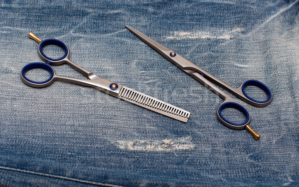 Scissors on the Jeans Stock photo © timbrk