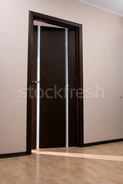 Open door Stock photo © timbrk