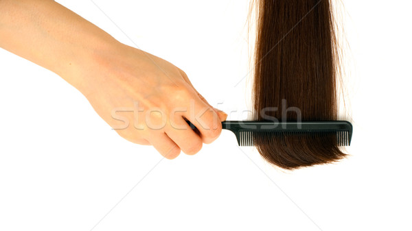 ヘアブラシ ロック 髪 孤立した 白 プロ ストックフォト © timbrk