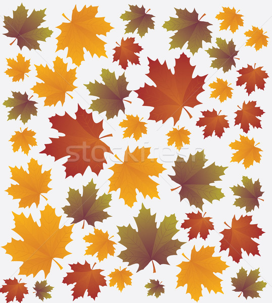 вектора осень баннер набор иллюстрация красочный Сток-фото © tina7shin