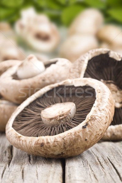 Healthy fresh mushrooms with very shallow depth of field Stock photo © tish1