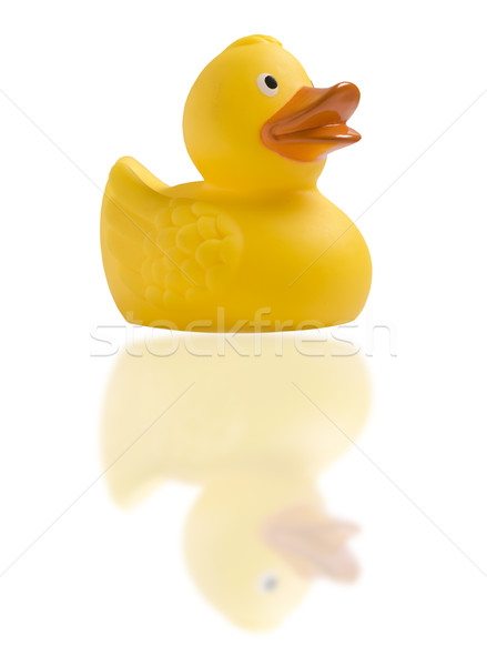 Yellow toy duck on white Stock photo © tish1