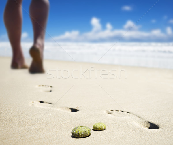 Colagem diferente verão férias na praia céu água Foto stock © tish1