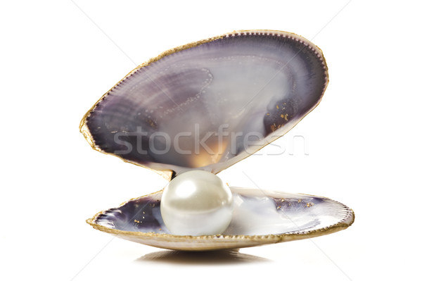 One white pearl in a sea shell Stock photo © tish1