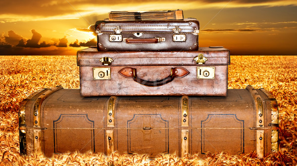Utazó bőröndök búzamező naplemente háttér farm Stock fotó © tish1