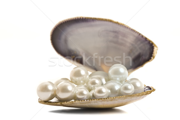 Beautiful pearls in a seashell Stock photo © tish1