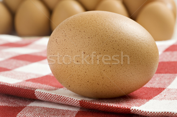 Szabad terjedelem tojás friss egészséges organikus Stock fotó © tish1