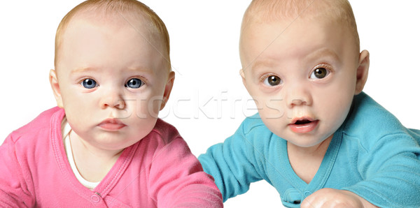 Six month old twin brother and sister Stock photo © tish1