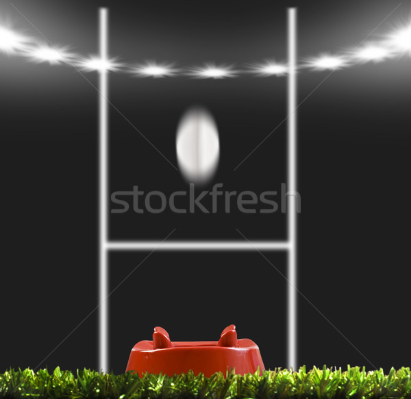 Rugby ball kicked to the posts on a rugby field Stock photo © tish1