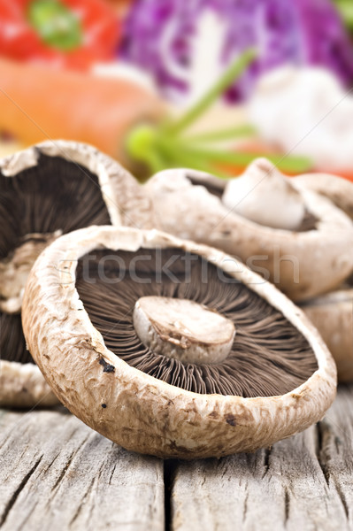 Healthy fresh mushrooms with very shallow depth of field Stock photo © tish1