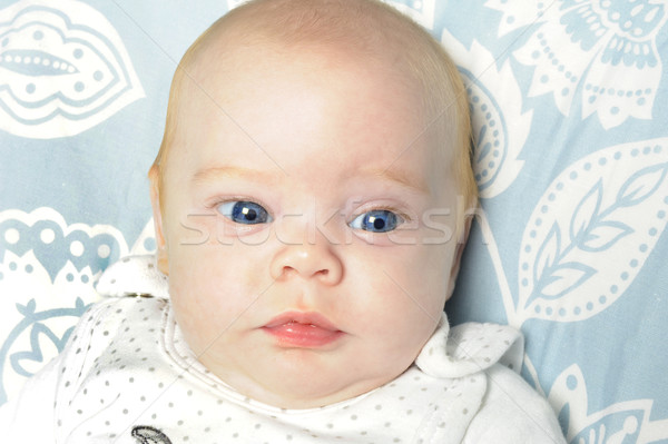 Kislány fényes kék szemek gyönyörű arc szeretet Stock fotó © tish1