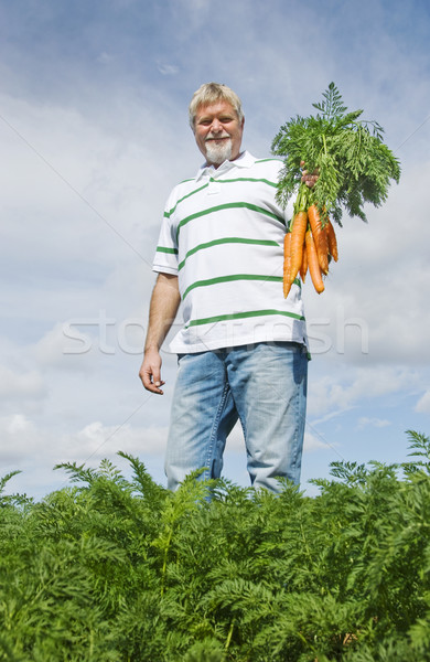 [[stock_photo]]: Carotte · agriculteur · domaine · ferme · herbe · santé