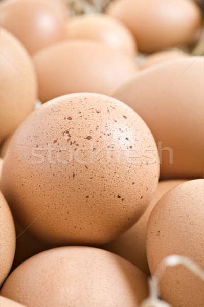 Friss egészséges tojások farm kész főtt Stock fotó © tish1
