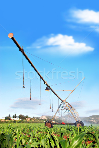 Modern irrigation system watering a farm field Stock photo © tish1