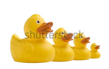 Sarı oyuncak ördek yavrusu beyaz aile parti Stok fotoğraf © tish1