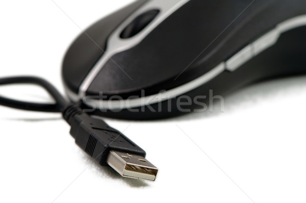 Stylish computer mouse Stock photo © tito