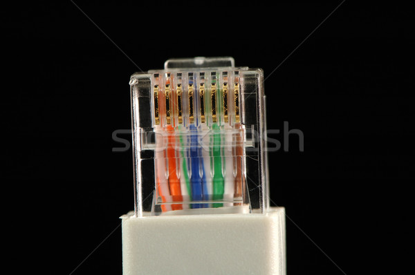Patch cable Stock photo © tito