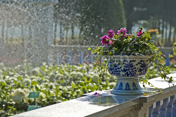 Fleurs horticulture clôture jardin pierre douche [[stock_photo]] © tito