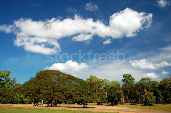 Skyscape of Prasat Suor Prats, Combodia Stock photo © tito