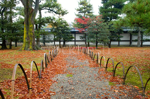 [[stock_photo]]: Retour · japonais · jardin · automne · arbre · feuille