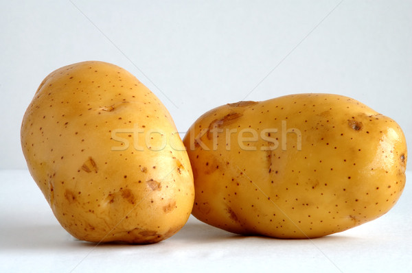 Two potatoes Stock photo © tito