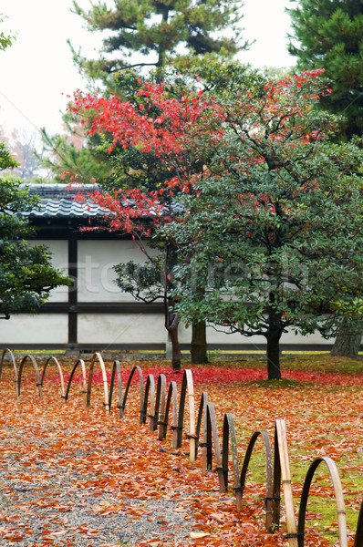 Japán kert hát ősz fa levél Stock fotó © tito