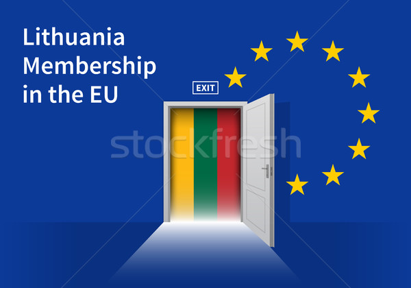 Europeu união bandeira parede porta Foto stock © tkacchuk