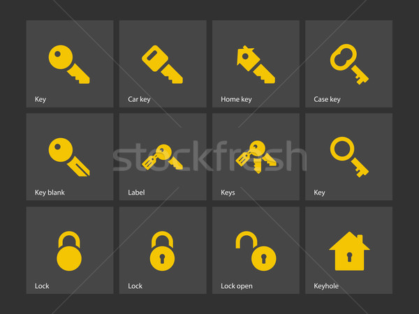 Key icons. Stock photo © tkacchuk