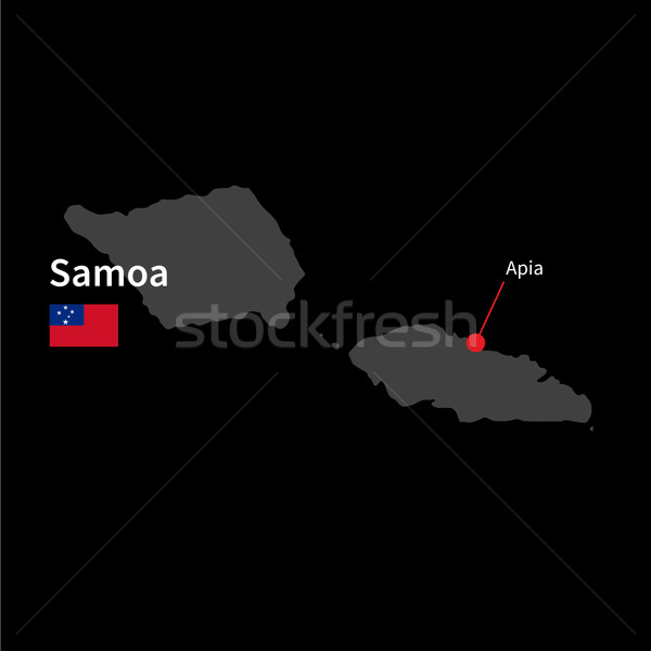 Gedetailleerd kaart Samoa stad vlag zwarte Stockfoto © tkacchuk