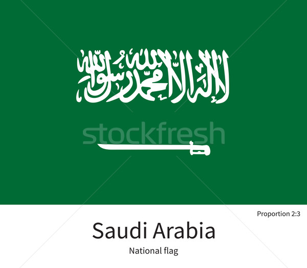 Bandeira Arábia Saudita corrigir elemento cores educação Foto stock © tkacchuk