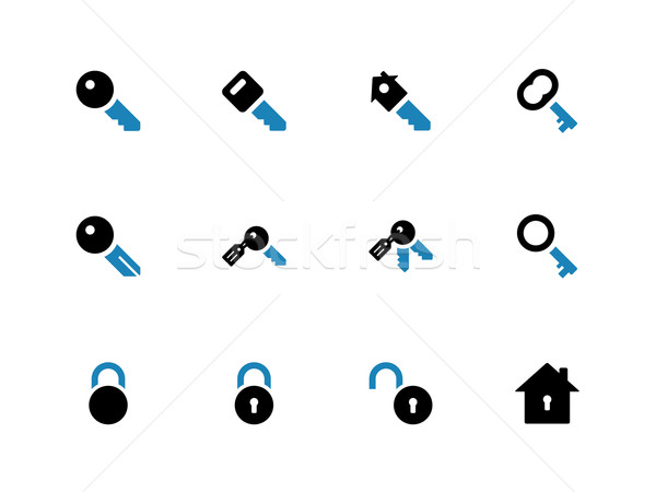 Key duotone icons on white background. Stock photo © tkacchuk