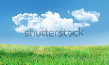 Cumulus Clouds and Grass Landscape Stock photo © TLFurrer