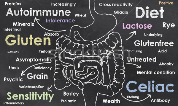 Cuvinte intestine medical grâu cereale Imagine de stoc © TLFurrer