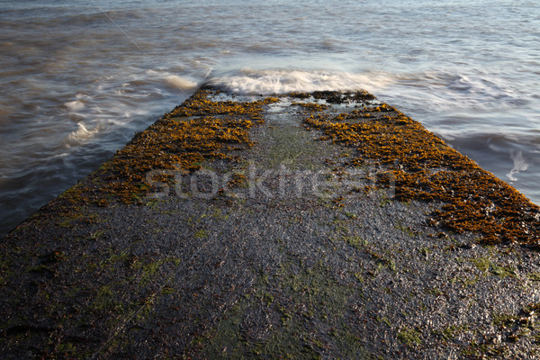 Golf kust golven surfen beton Stockfoto © tlorna