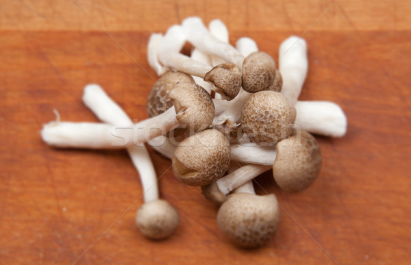 Champignons koken boord klaar gekookt wild Stockfoto © tlorna