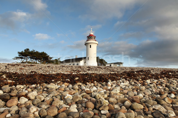 Vuurtoren strand kust Denemarken navigatie toren Stockfoto © tlorna