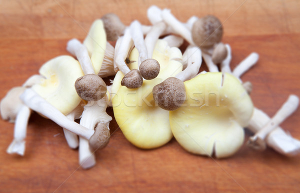 mushrooms cooking preparing Stock photo © tlorna