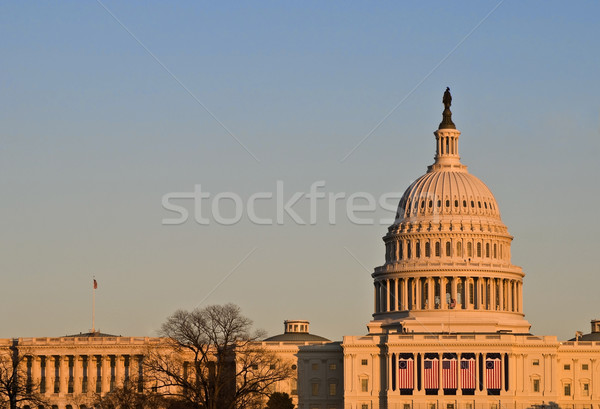 Capitol Building at Sunset Stock photo © tmainiero