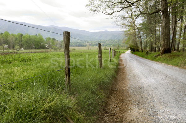 Estrada rural enfumaçado montanhas céu Foto stock © tmainiero